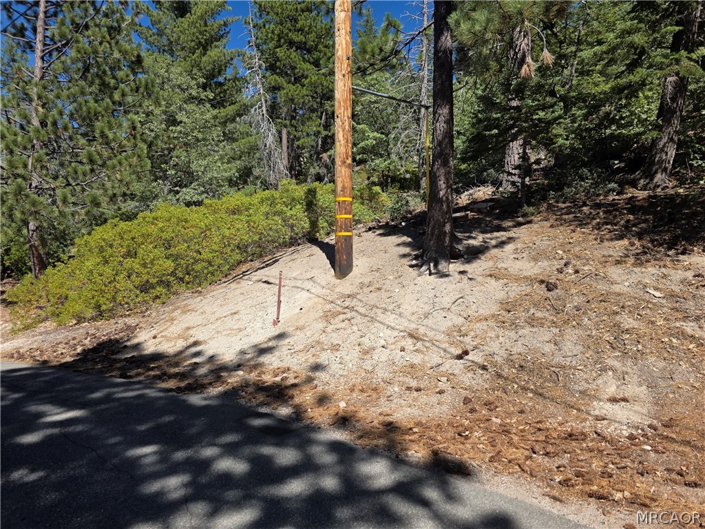2419 Pine Drive Property Photo 4