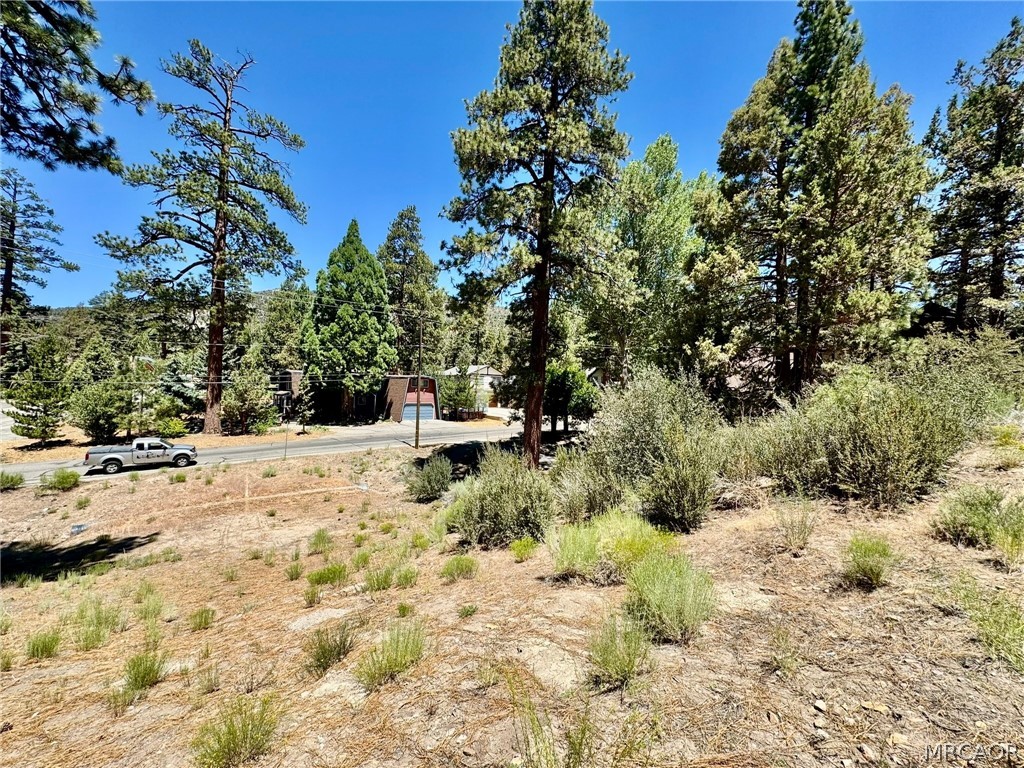 0 Eagle Mountain Drive Property Photo 5