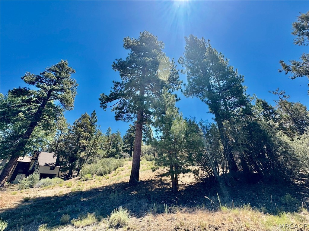 0 Eagle Mountain Drive Property Photo 8