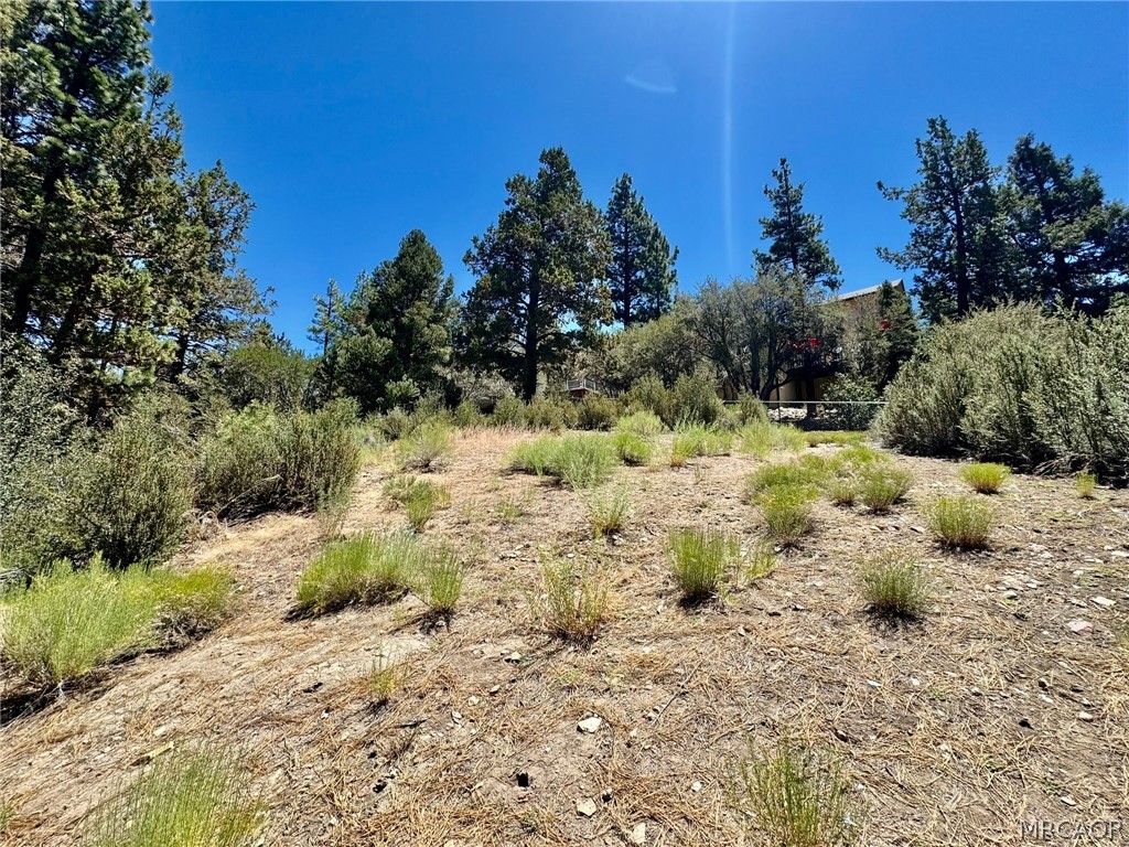 0 Eagle Mountain Drive Property Photo 12