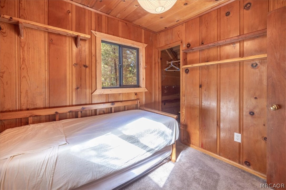 380 Dolly Varden Drive Property Photo 20