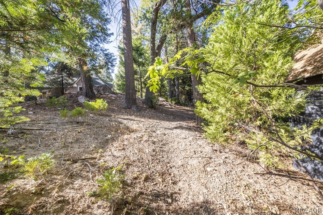 380 Dolly Varden Drive Property Photo 50