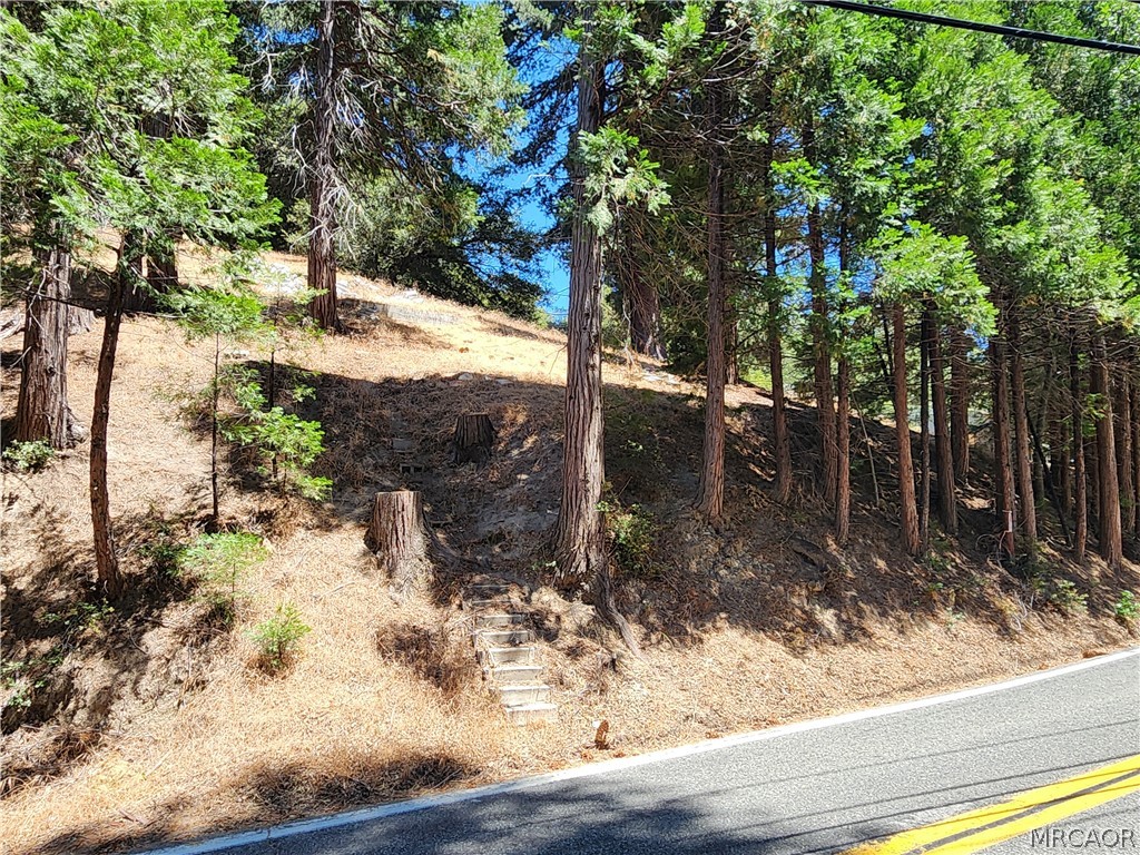 0 Dart Canyon Road Property Photo 2