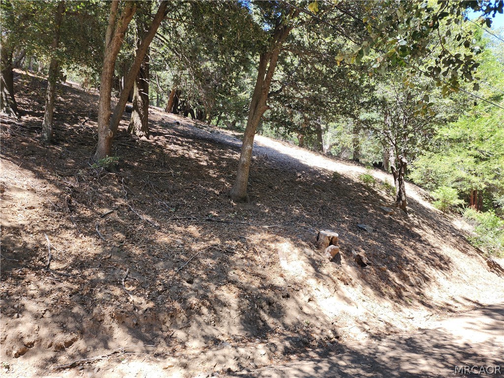 0 Burnt Mill Canyon Property Photo 2