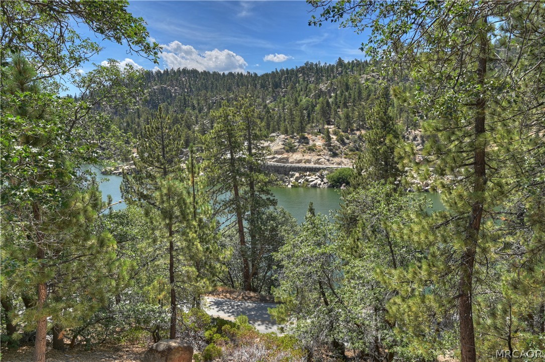 298 Nolan Trail Property Photo 4