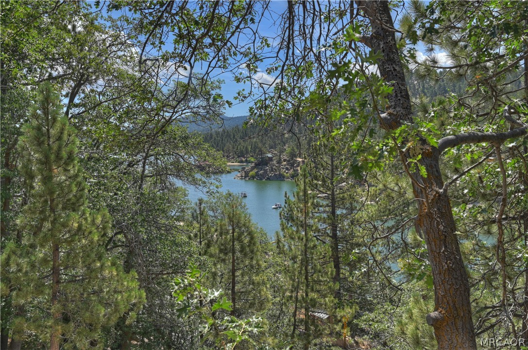 298 Nolan Trail Property Photo 26