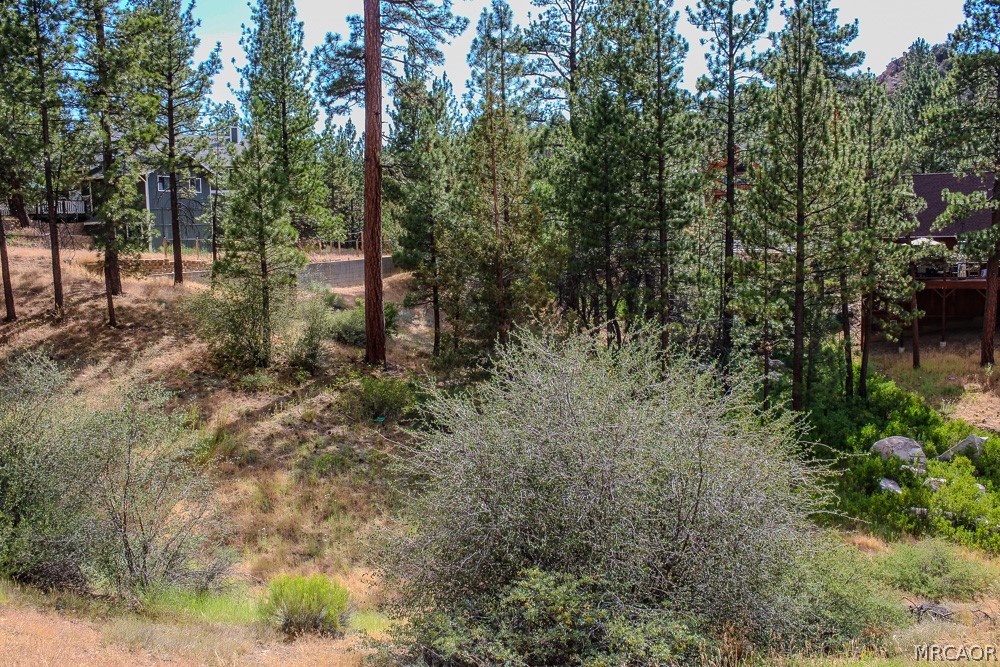 42048 Division Drive Property Photo 3