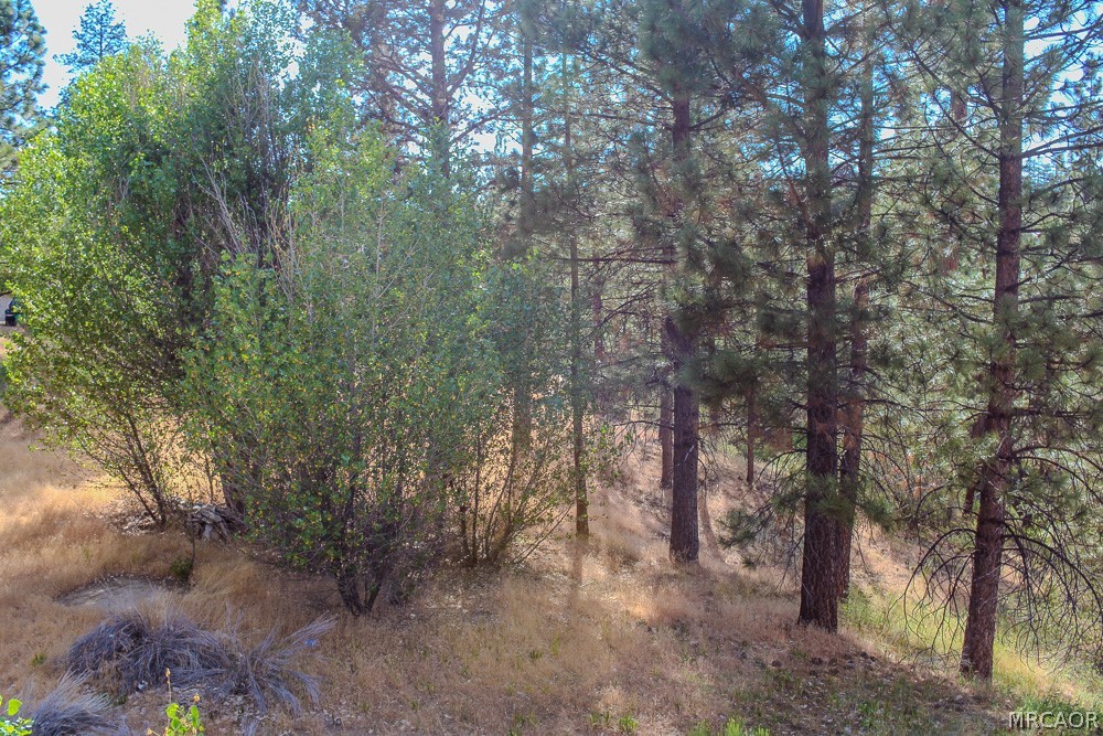 42048 Division Drive Property Photo 5