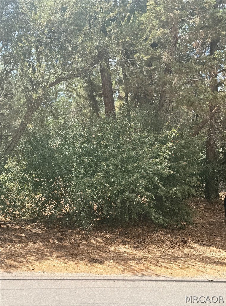 0 Imperial Avenue Property Photo 3