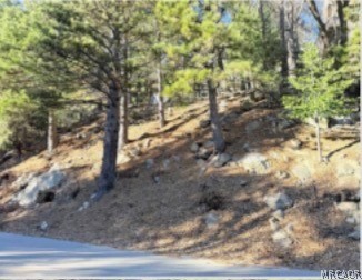 0 Thunderbird Drive Property Photo 2