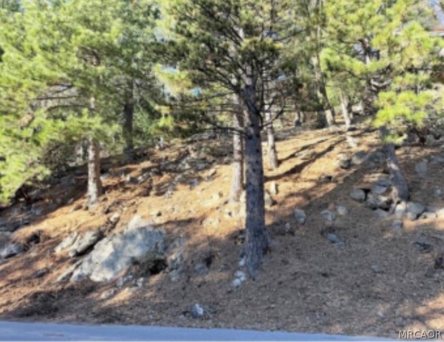 0 Thunderbird Drive Property Photo 3
