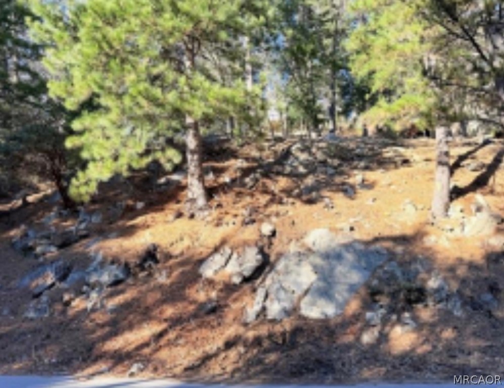 0 Thunderbird Drive Property Photo 4
