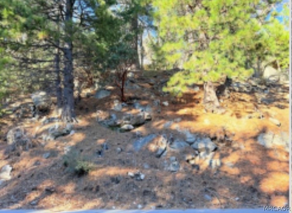 0 Thunderbird Drive Property Photo 5