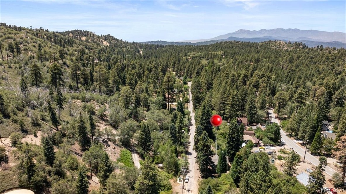 33910 Meadow Lane Property Photo 4