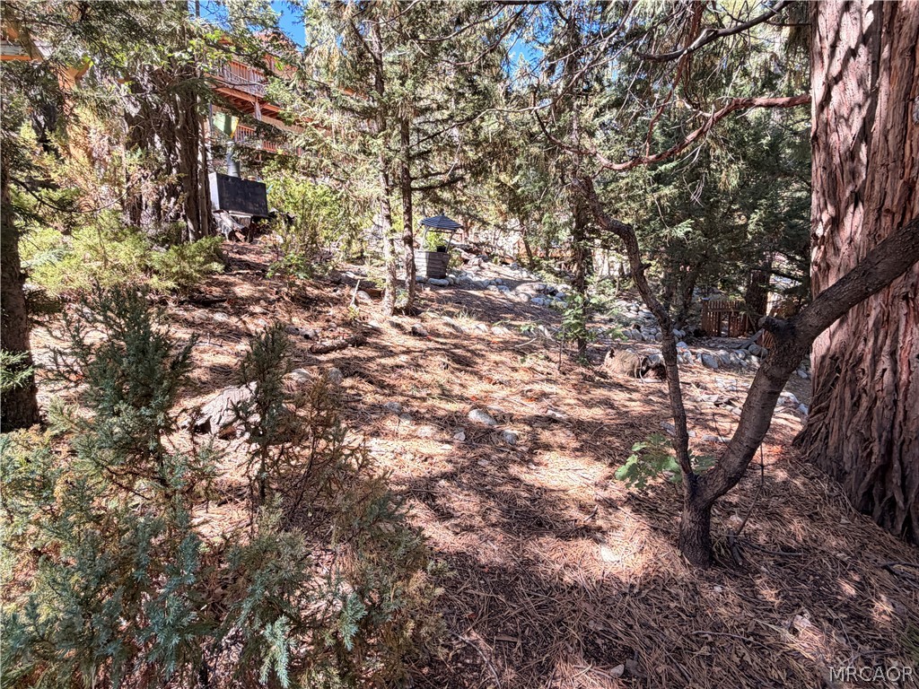32778 Deer Lick Dr. Property Photo 28