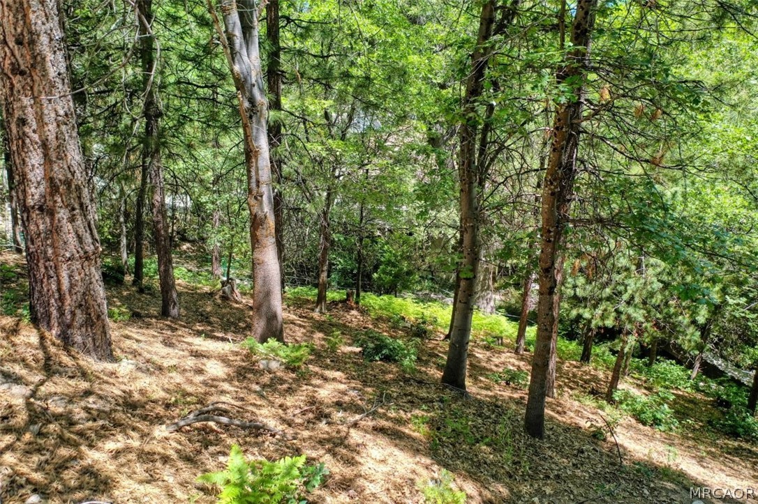 27457 North Bay Road Property Photo 12