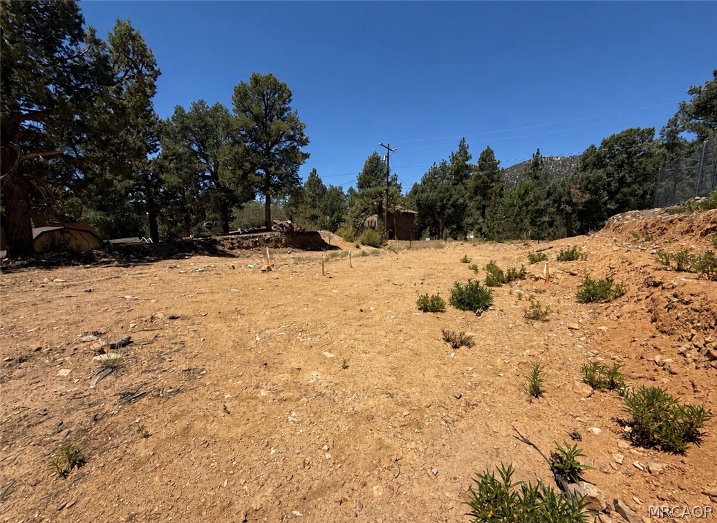 1084 Cedar Mountain Road Property Photo 4