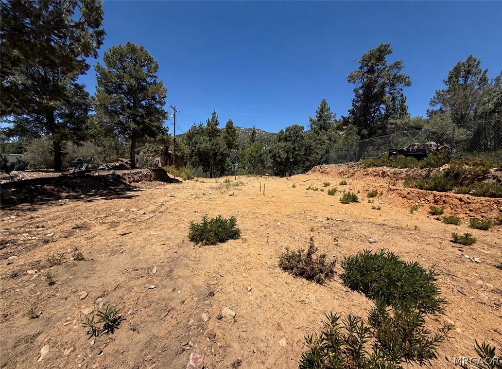 1084 Cedar Mountain Road Property Photo 7