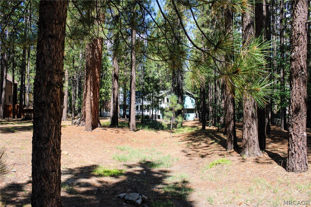 42109 Evergreen Drive Property Photo 44