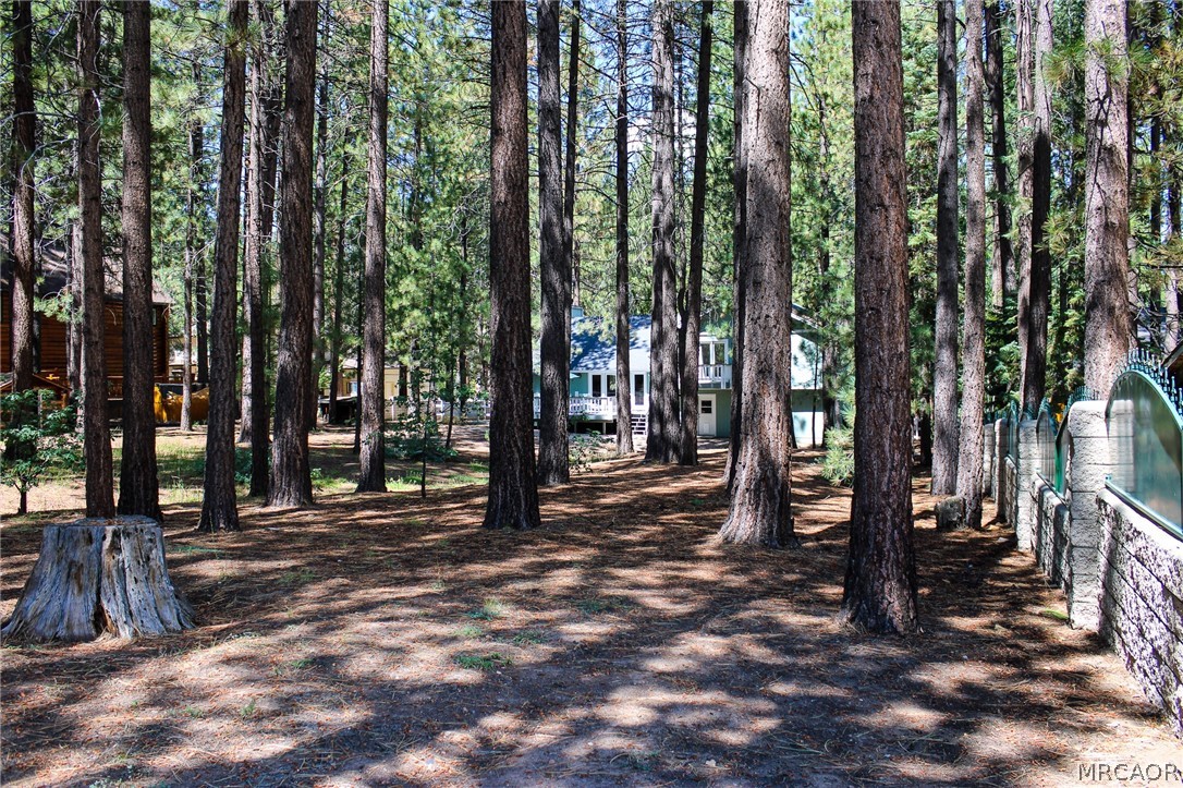 42109 Evergreen Drive Property Photo 45