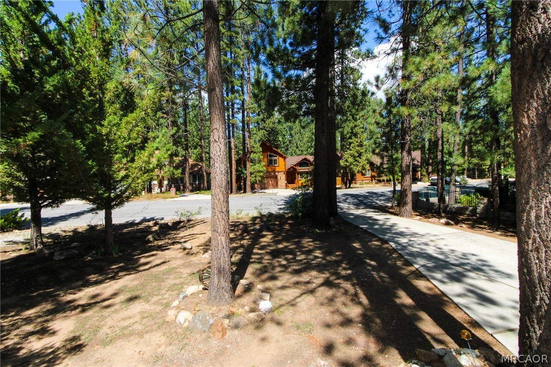 42109 Evergreen Drive Property Photo 49
