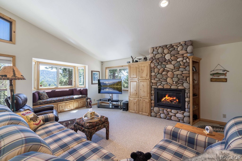 803 Plumas Court Property Photo 10