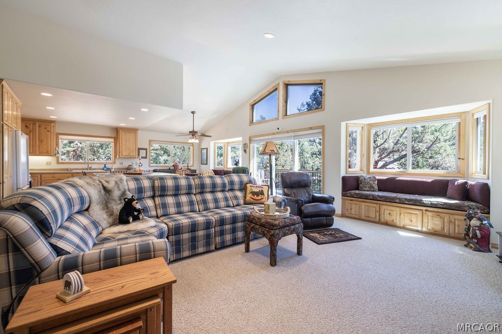 803 Plumas Court Property Photo 11