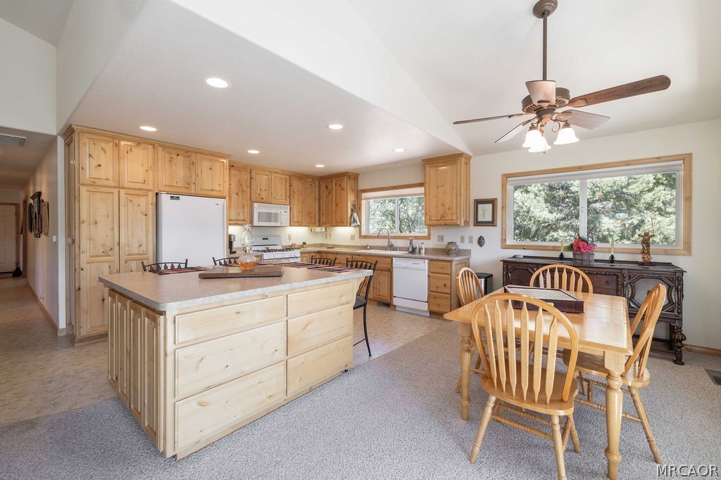 803 Plumas Court Property Photo 15