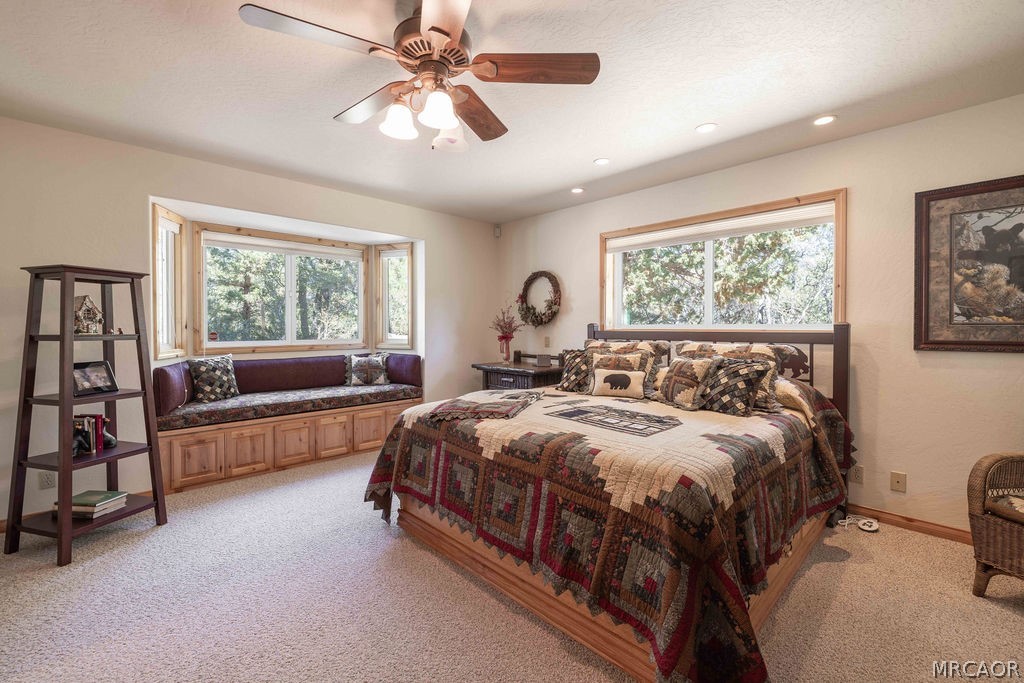 803 Plumas Court Property Photo 19