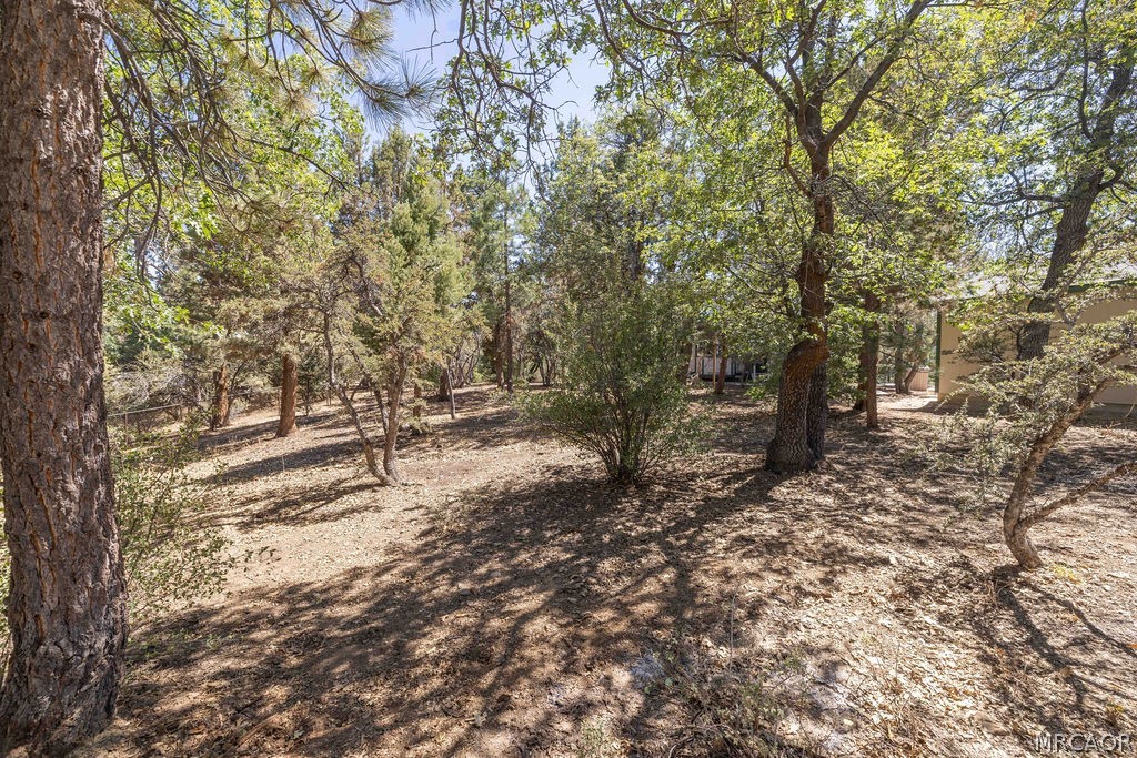 0 Plumas Court Property Photo 6