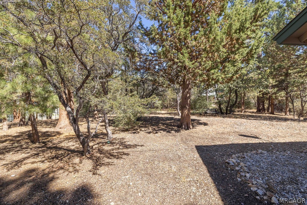 0 Plumas Court Property Photo 7