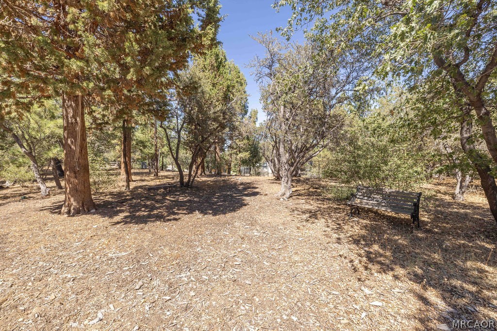 0 Plumas Court Property Photo 8