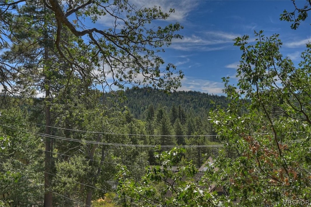 26620 Modoc Lane Property Photo 32