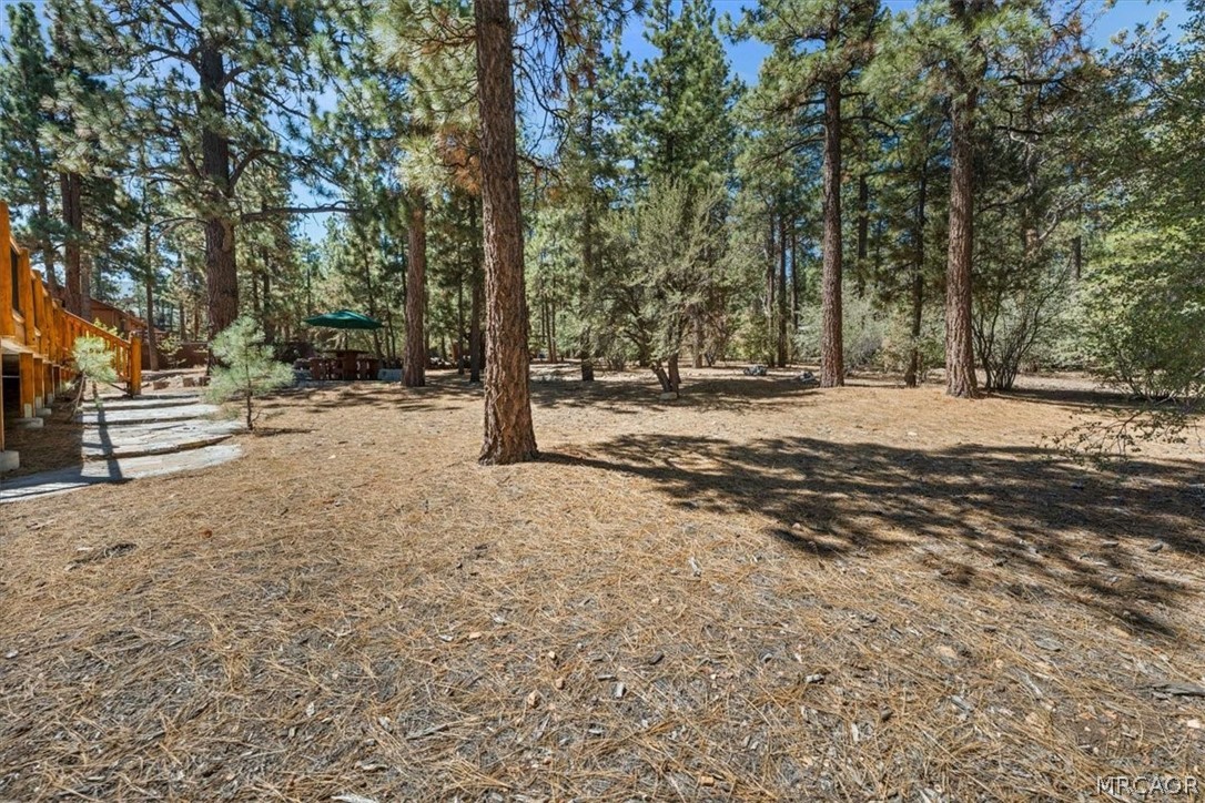 613 Cedar Glen Drive Property Photo 47