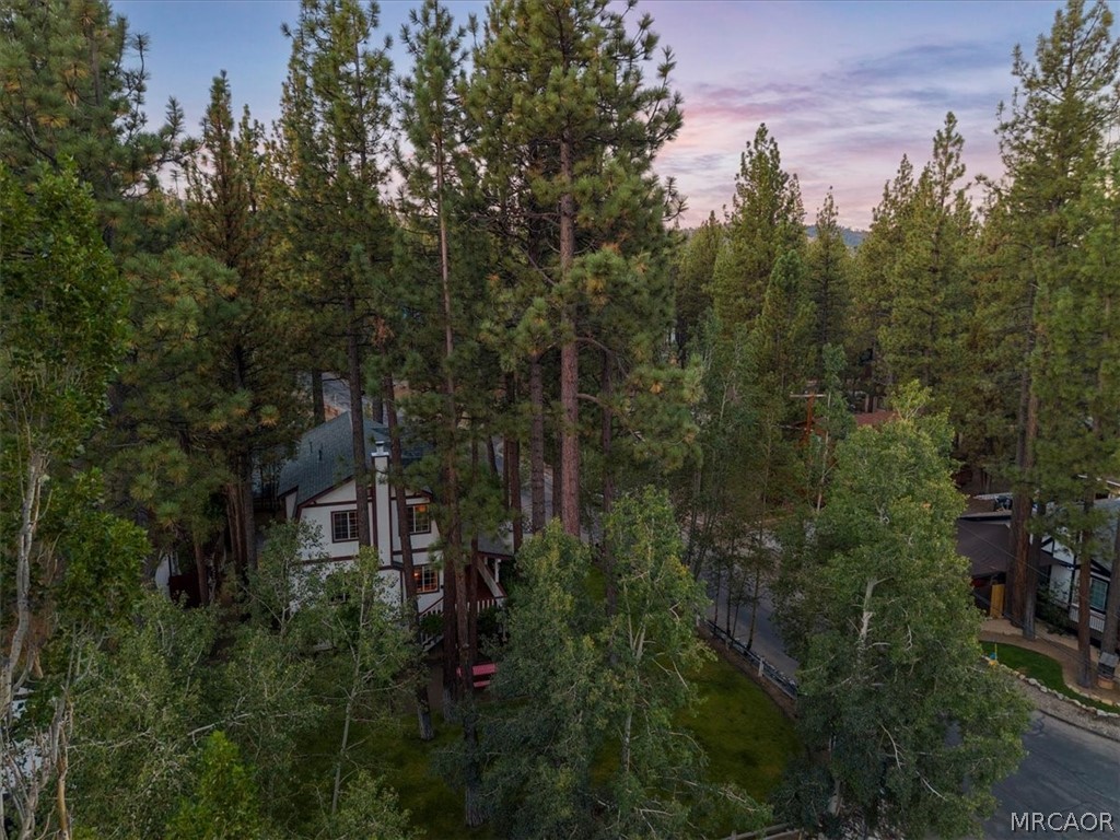 416 Pineview Drive Property Photo 33