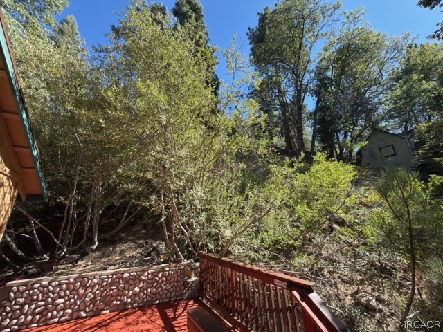 33519 Falling Leaf Drive Property Photo 22