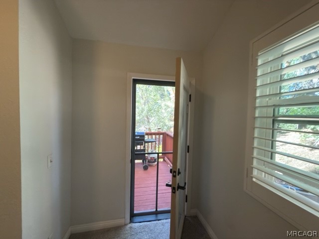 33519 Falling Leaf Drive Property Photo 28