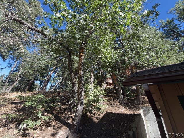 33519 Falling Leaf Drive Property Photo 30