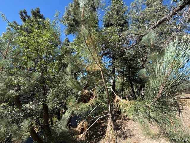 33519 Falling Leaf Drive Property Photo 31