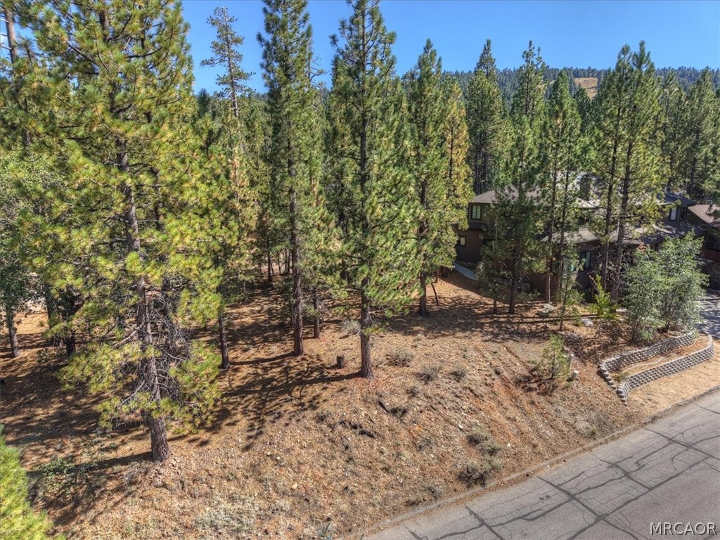 0 Evergreen Drive Property Photo 6