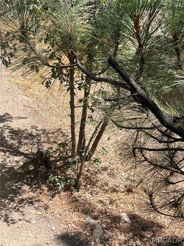 0 Robin Lane Property Photo 1