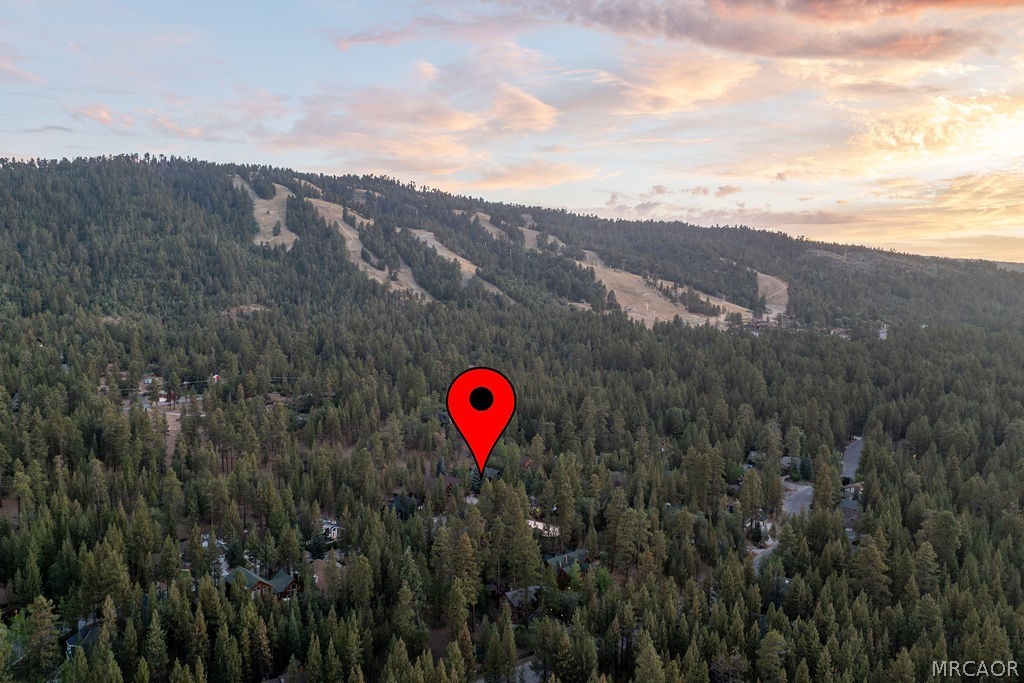 42290 Heavenly Valley Road Property Photo 18