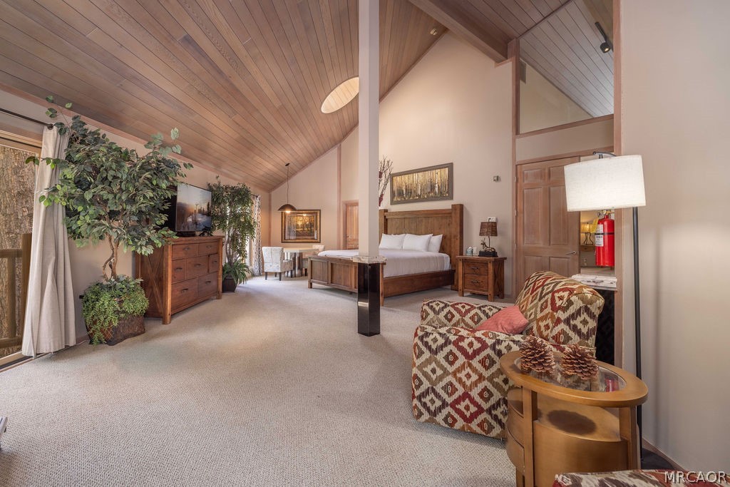 42290 Heavenly Valley Road Property Photo 19