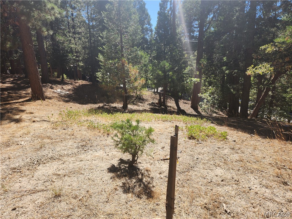 0 Grass Valley Road Property Photo 1