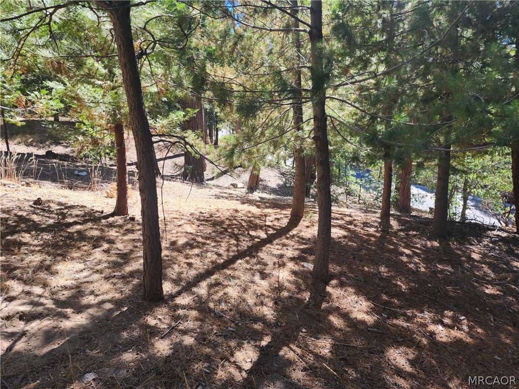 0 Grass Valley Road Property Photo 5