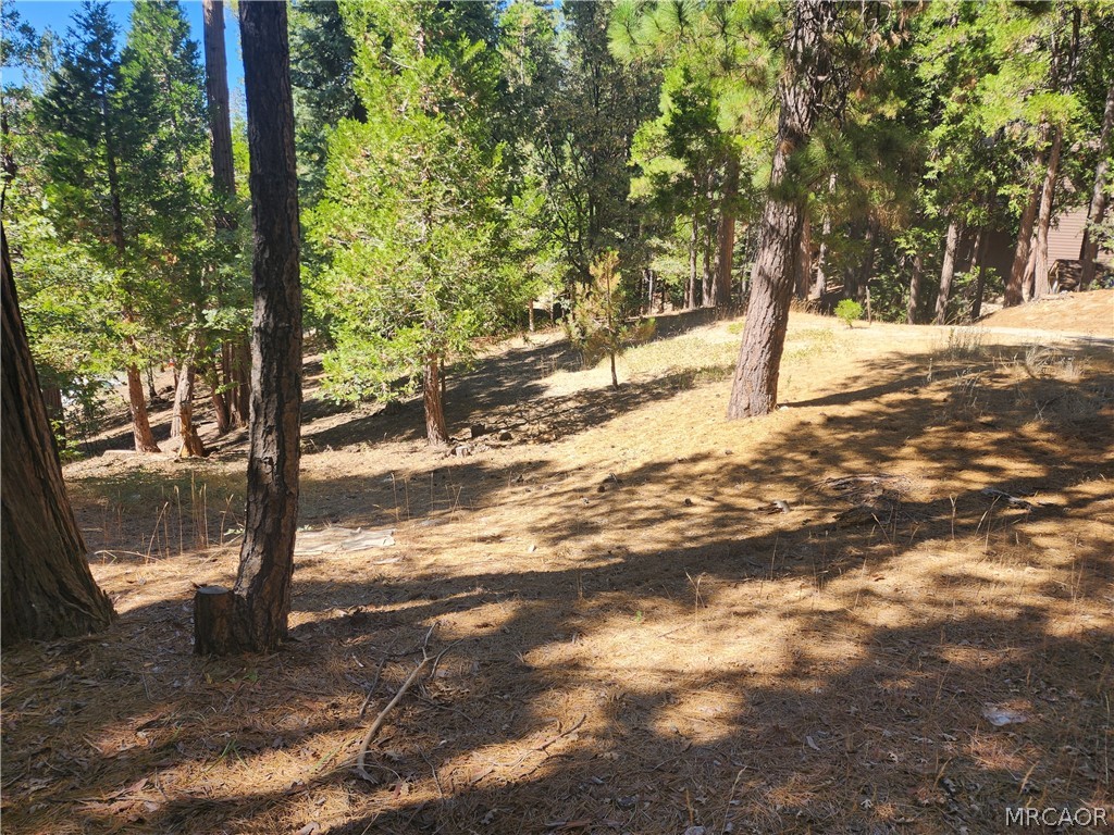 0 Grass Valley Road Property Photo 6