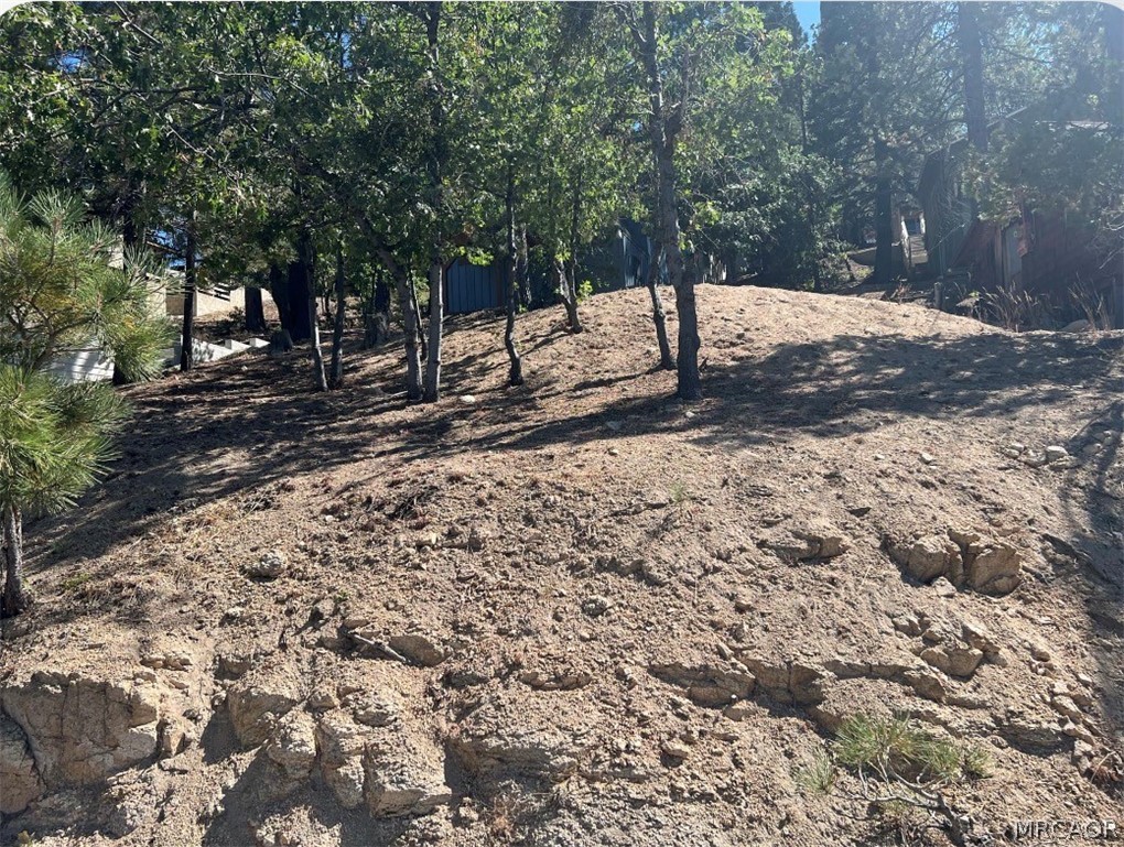 0 Arrowbear Dr. Property Photo 3