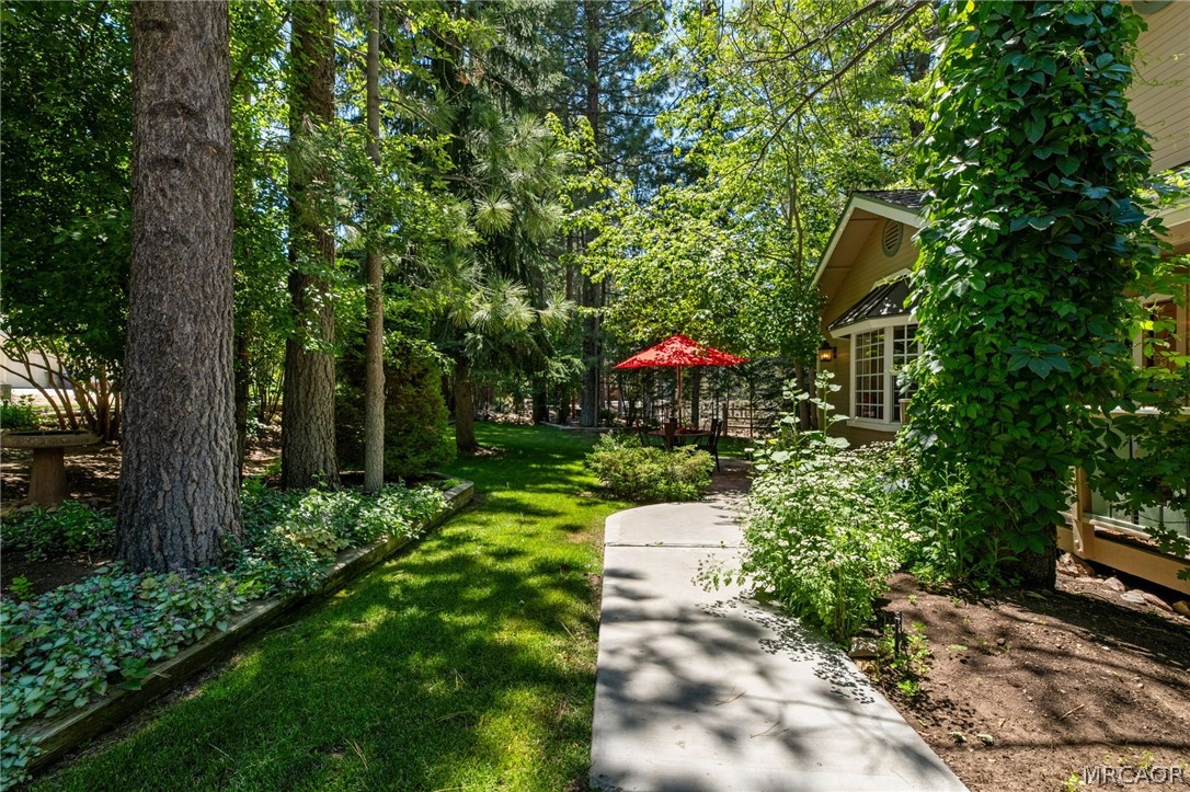 42204 Heavenly Valley Road Property Photo 5