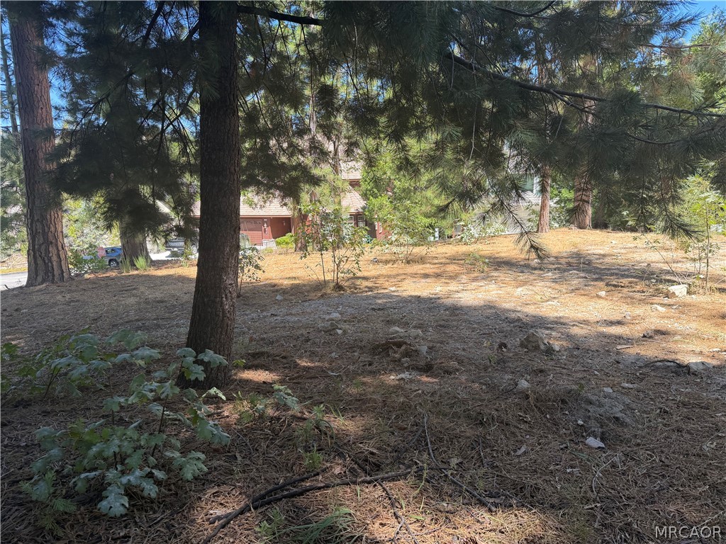 27586 Meadow Bay Drive Property Photo 2