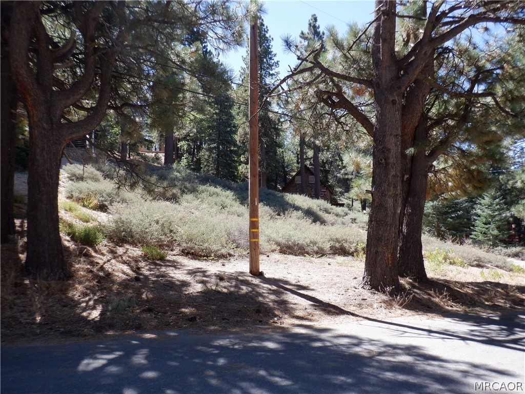 0 Wild Rose Drive Wild Rose Property Photo 3